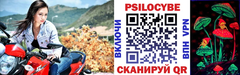 ОМГ ОМГ   площадка официальный сайт  Псилоцибиновые грибы Psilocybine cubensis  Аксай 